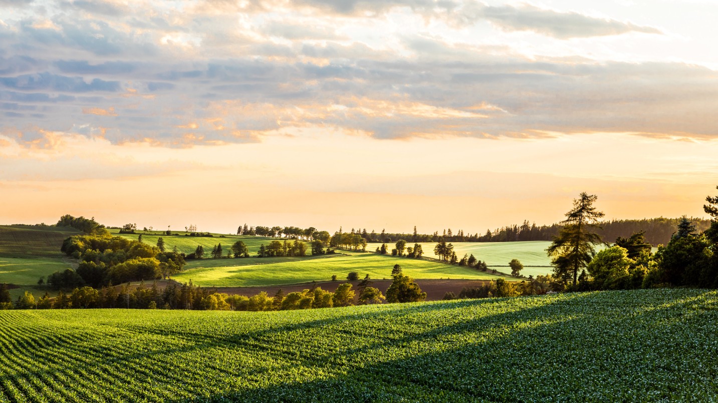 A scenic landscape of rolling green fields at sunset, with sunlight casting a warm glow over the horizon and partially cloudy sky above.