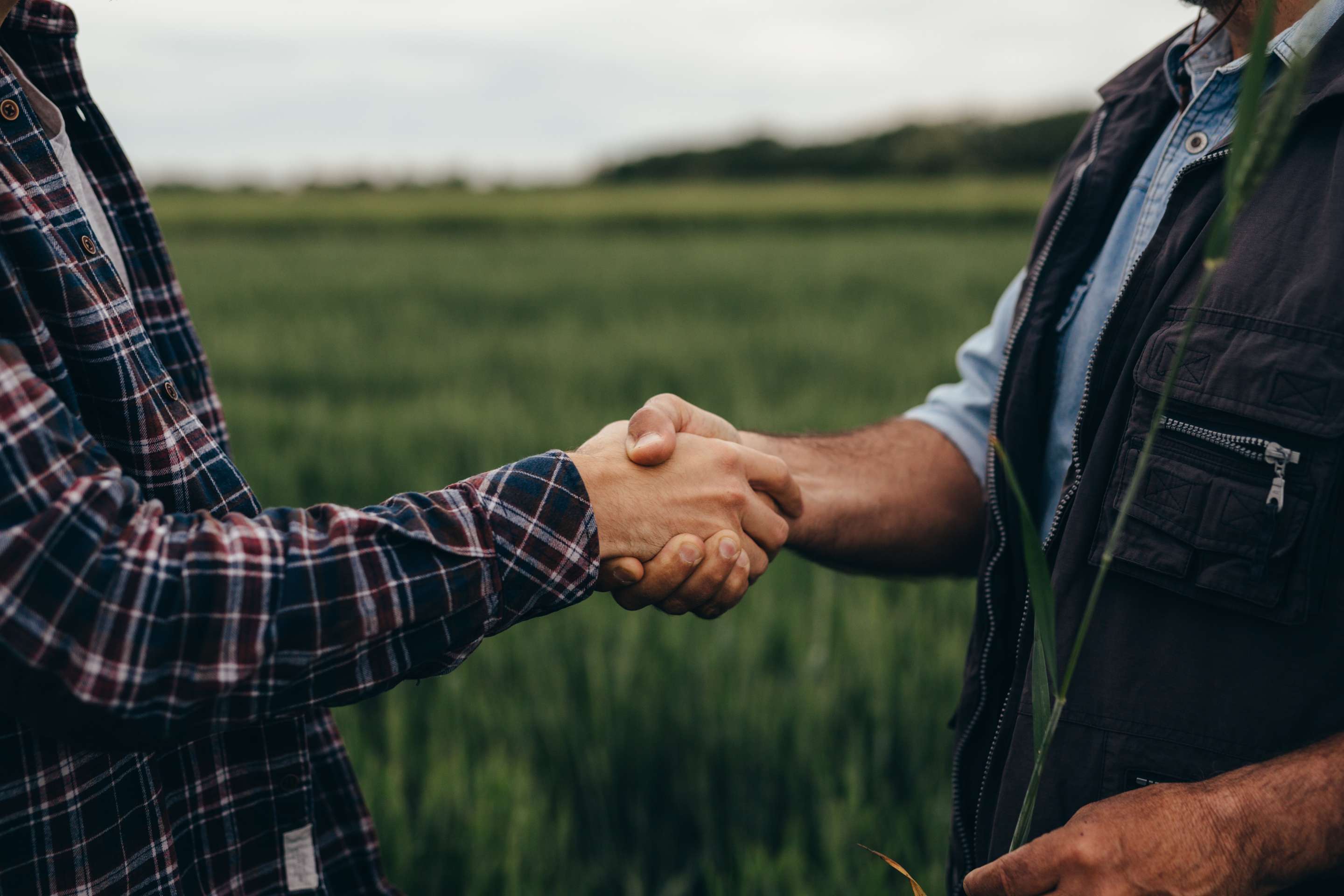 Two people shaking hands in a field, symbolizing a successful agreement or partnership